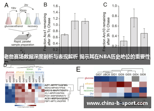 老詹赛场数据深度剖析与表现解析 揭示其在NBA历史地位的重要性